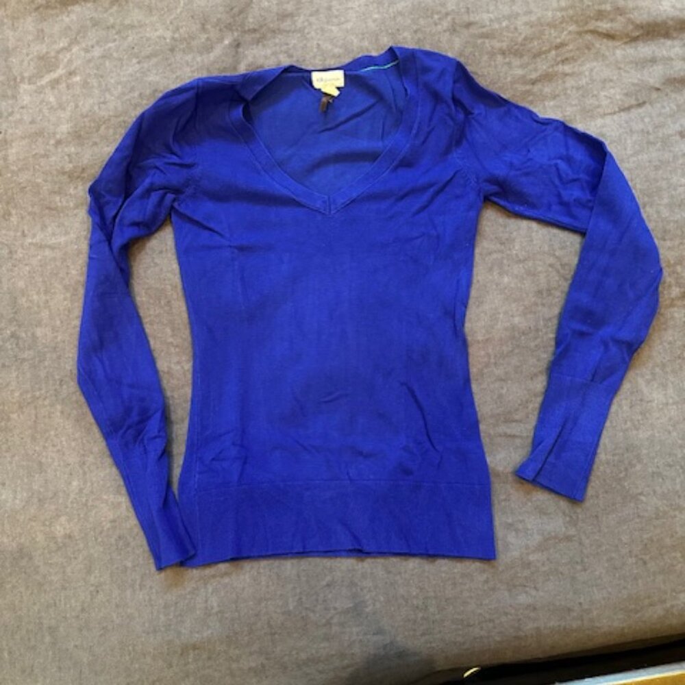 Dynamite Cotton Brilliant Blue Sweater